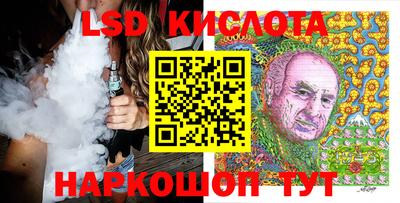 индика Партизанск