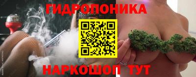 индика Партизанск