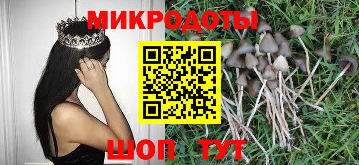 Галлюциногенные грибы Magic Shrooms  Вход с VPN  Ставрополь  Галлюциногенные грибы прущие грибы 