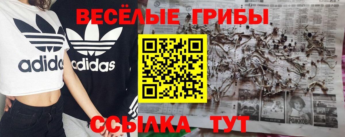 Cocaine Ставрополь